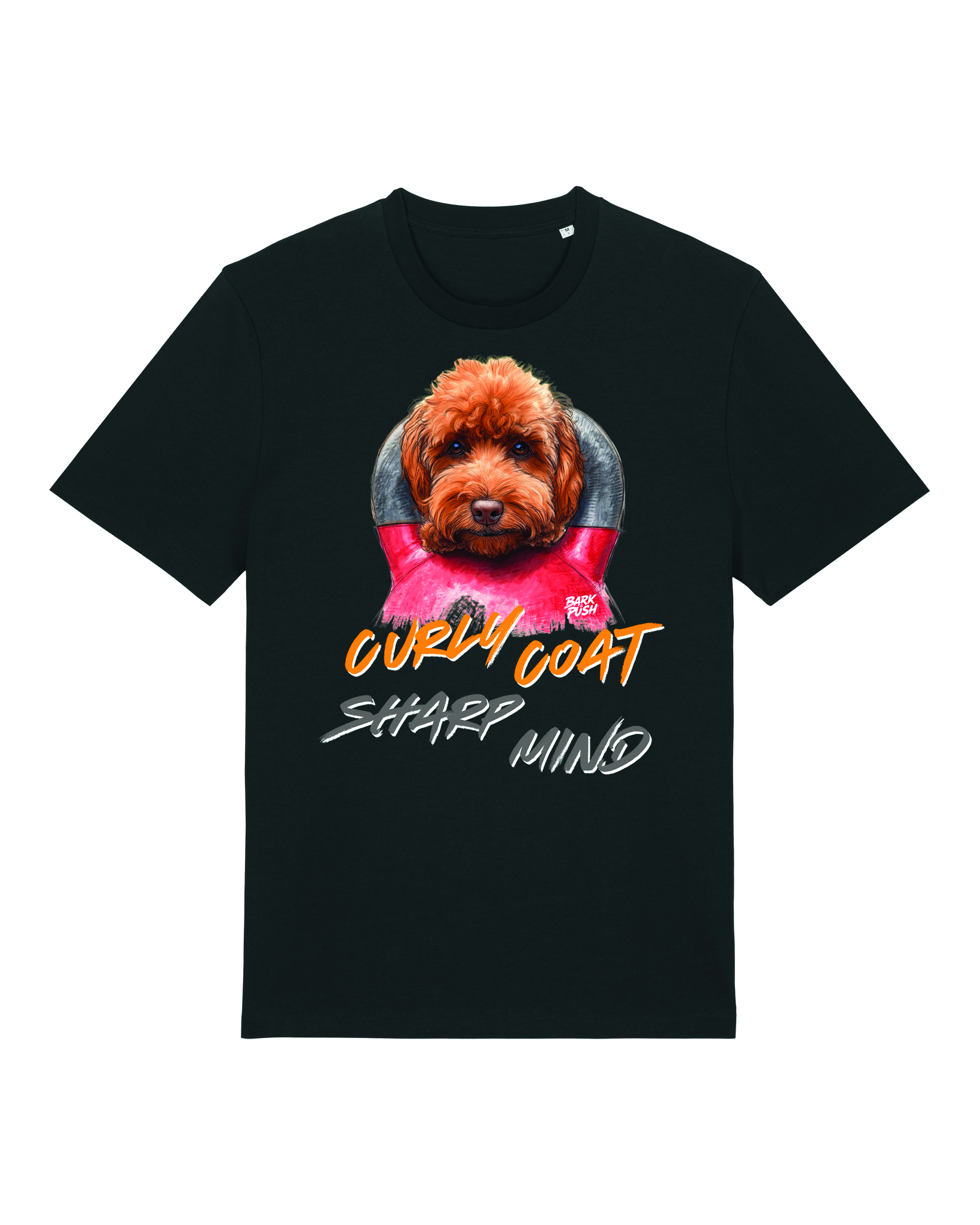 Barboncino Marrone & Kettlebell