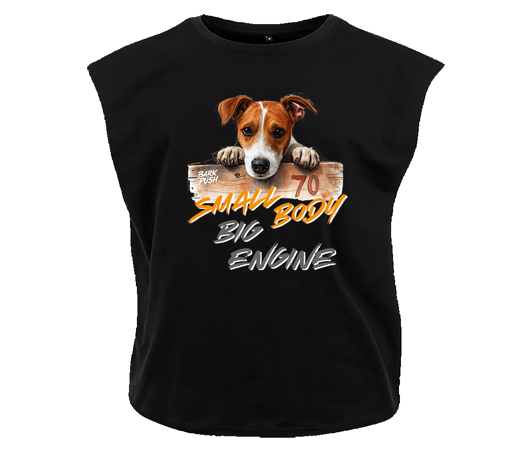 T-Shirt Smanicata Jack Russel & Box